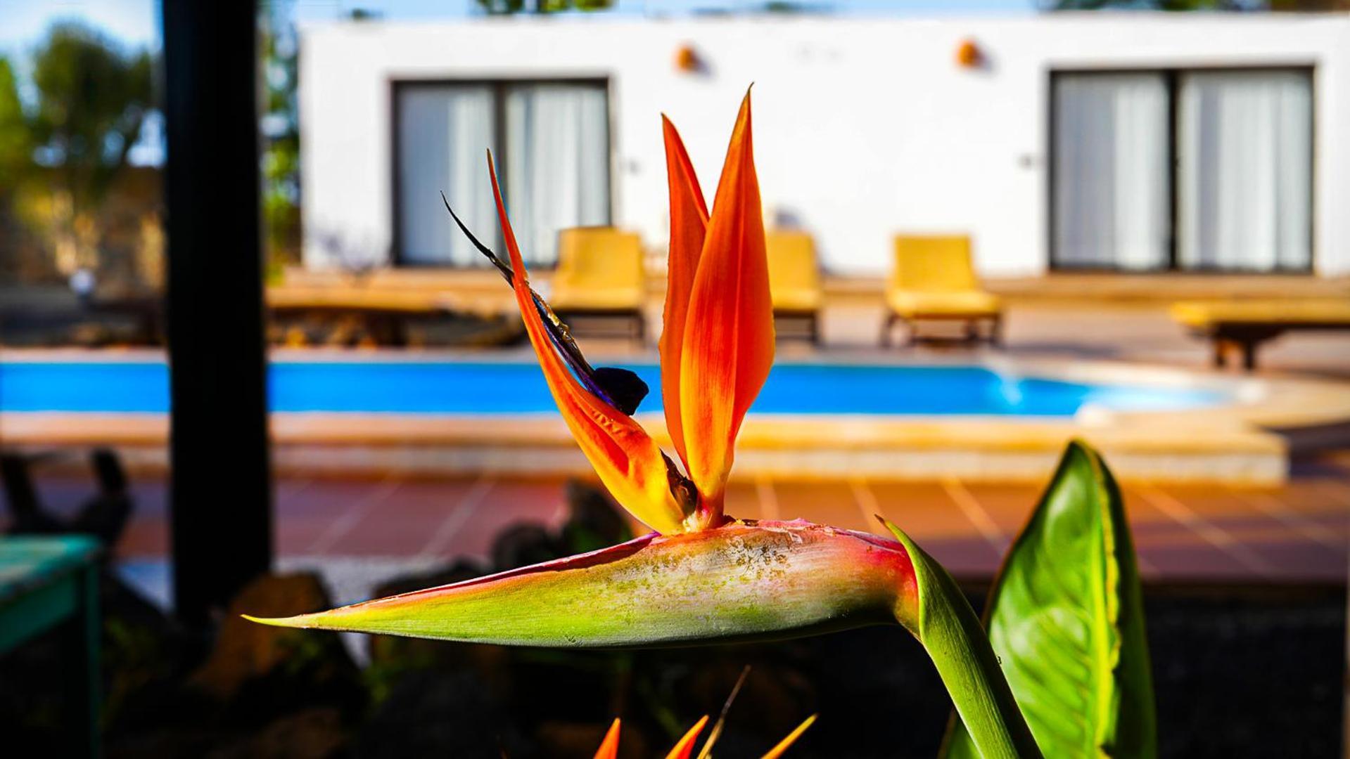 Villa Azul Fuerteventura Villaverde  외부 사진